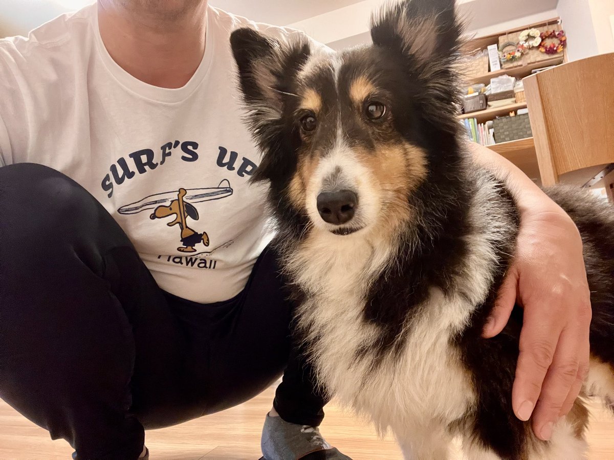 oki765LT's tweet photo. 亡くなった愛犬りゅう君の毛
まだりゅう君の匂いがする笑笑
嫁から貰いました。 https://t.co/1TJSQ0BPvk