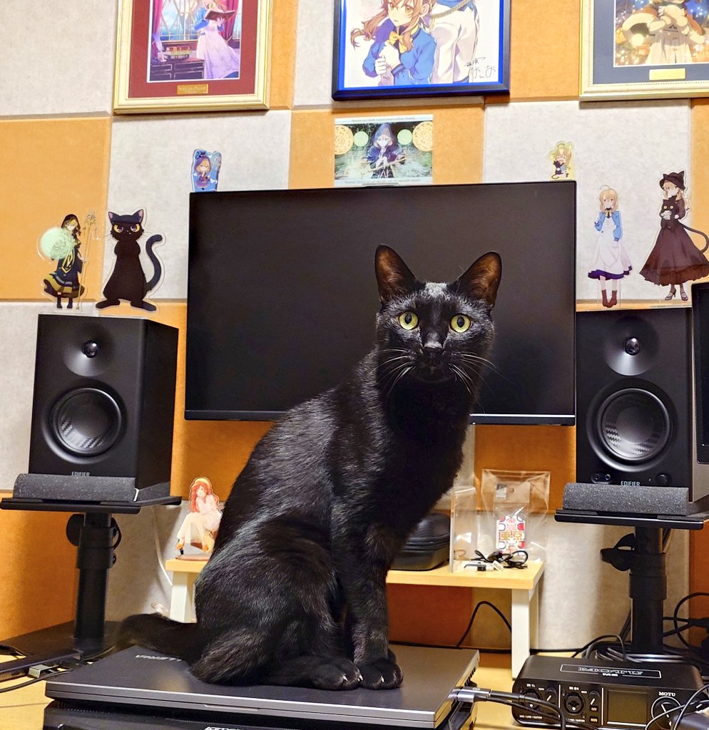 YuKa_FR430's tweet photo. おはようございます🫡

朝から作業しようと思ったら先客いましたん…
何を求めているのでしょうか😺？？
にしても可愛いかよ…

#黒猫 #歌い手さんMIX師さん絵師さん動画師さんとＰさん繋がりたい #ねこのいる生活 https://t.co/7IEP7gG2VF