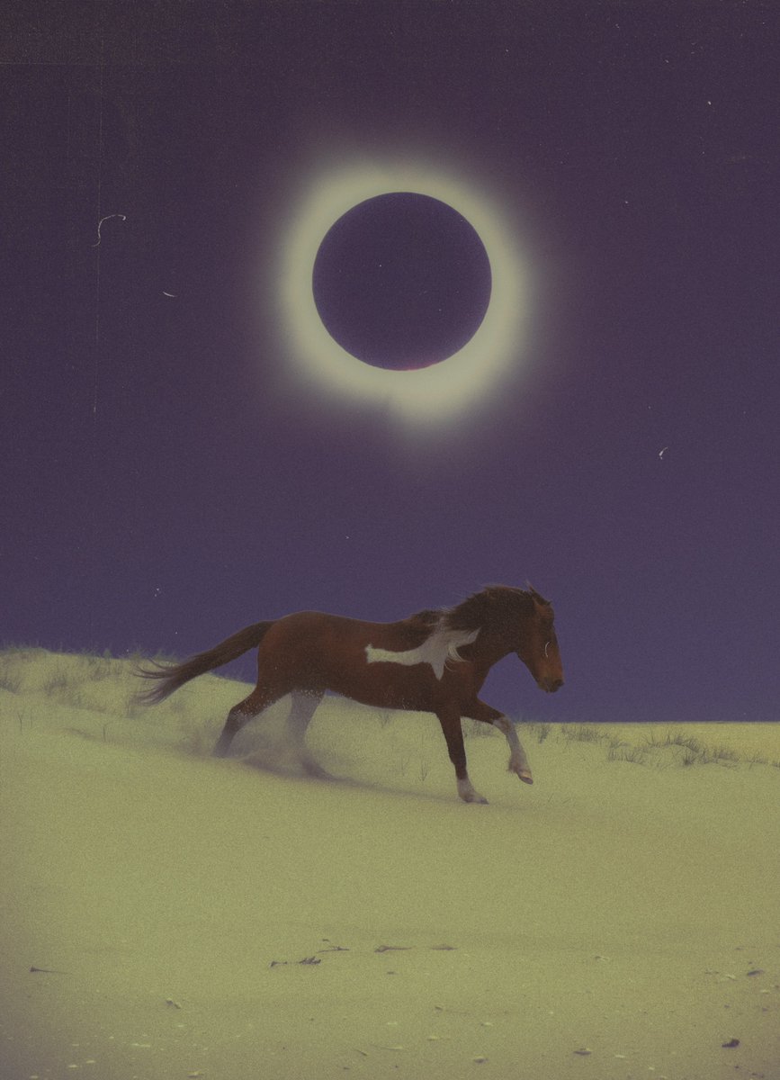 POSTWOOK's tweet photo. my art with horses https://t.co/Tn9UdjGXkU