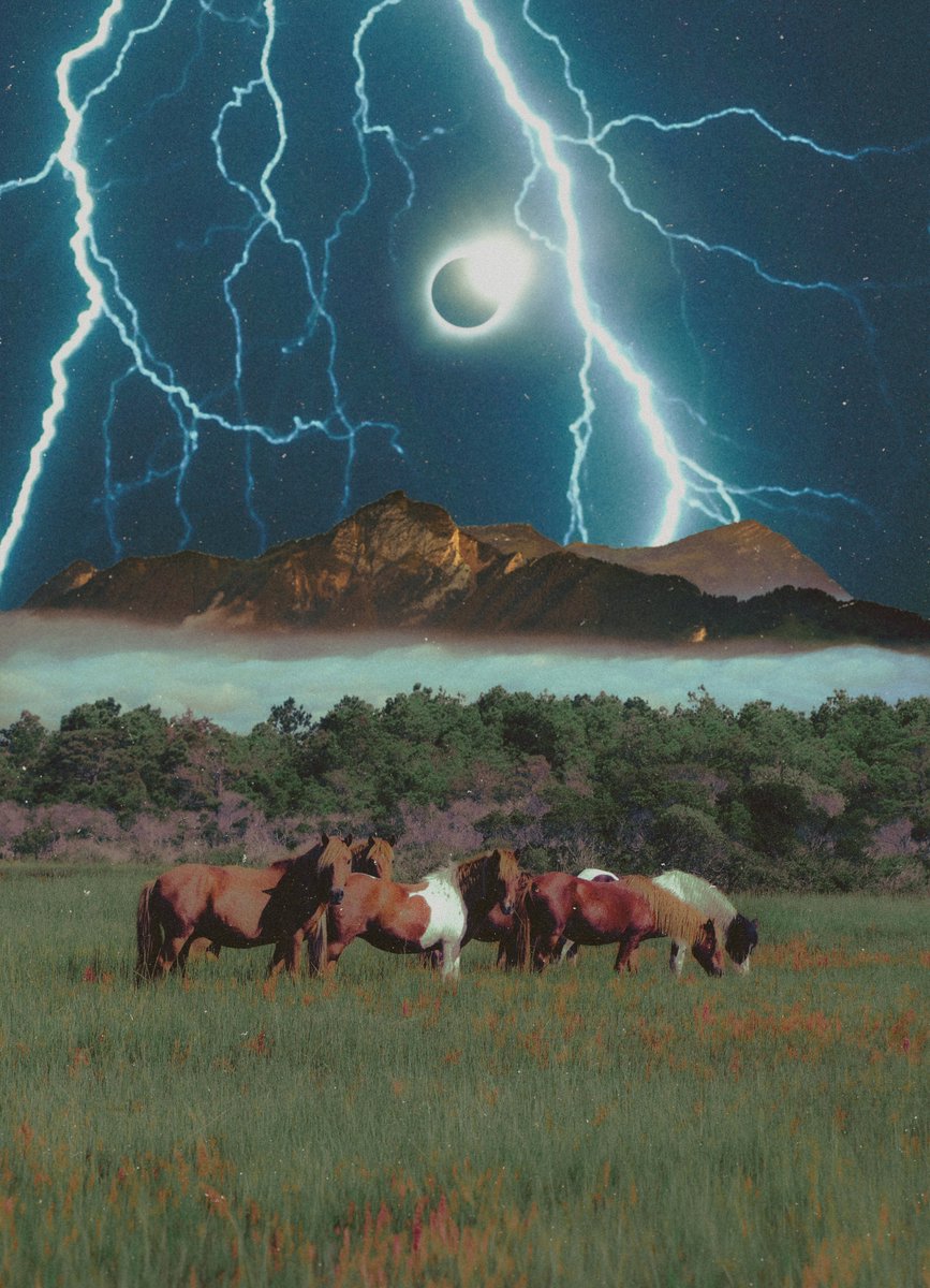 POSTWOOK's tweet photo. my art with horses https://t.co/Tn9UdjGXkU