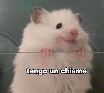 Checo tweet media