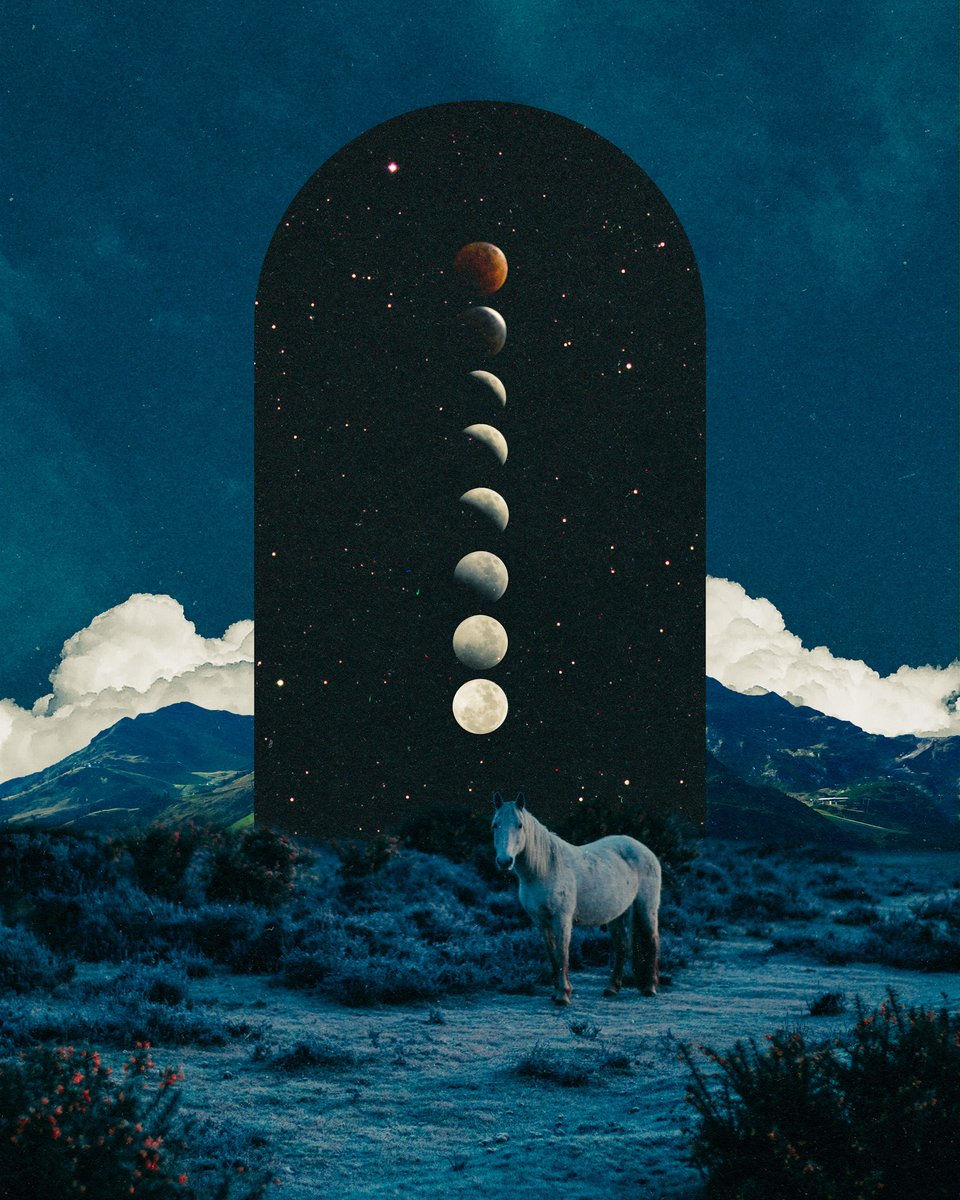 POSTWOOK's tweet photo. my art with horses https://t.co/Tn9UdjGXkU
