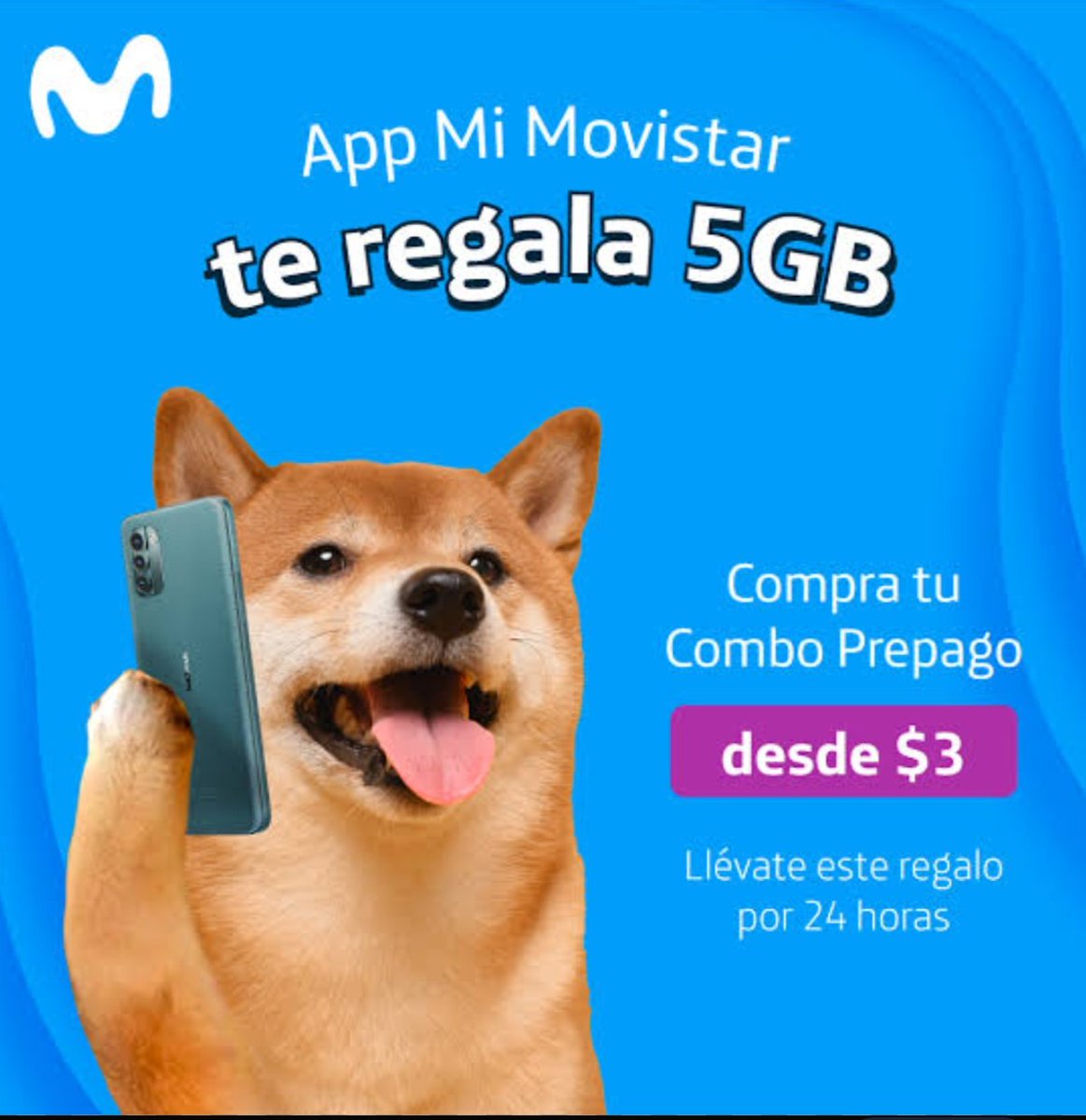 Charlie Rm Anima St. tweet media