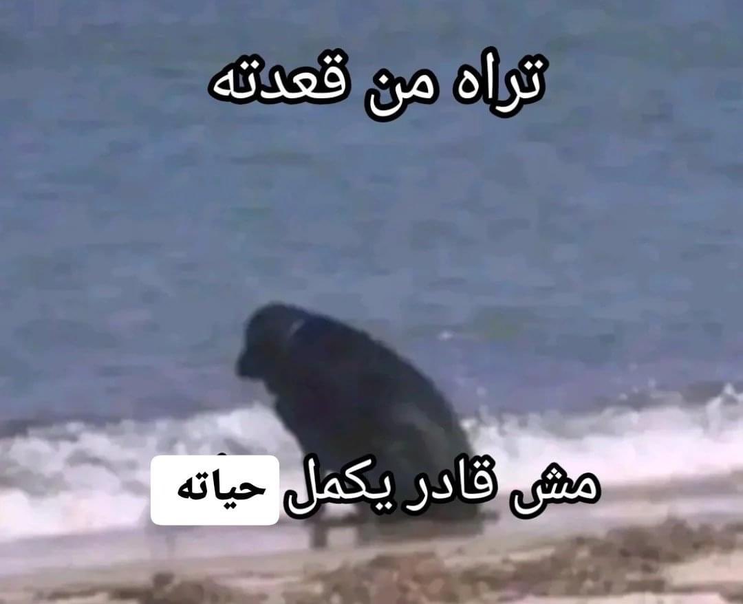 Valqur tweet media