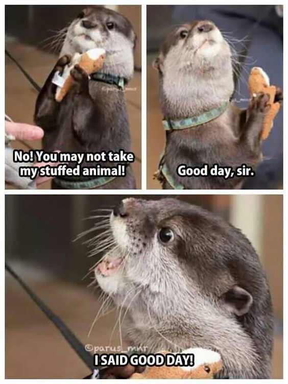 WholesomeMemes tweet media