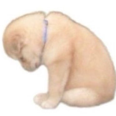 ProllyLexASMR's tweet photo. @Flaxwarhier Nah, not this update 🥲 https://t.co/djl0BToV6E