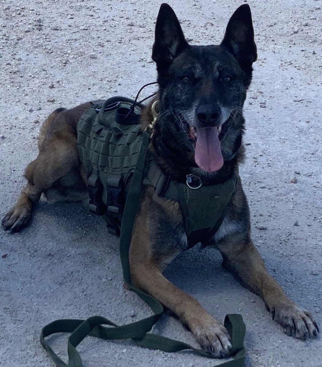 Military Support tweet media