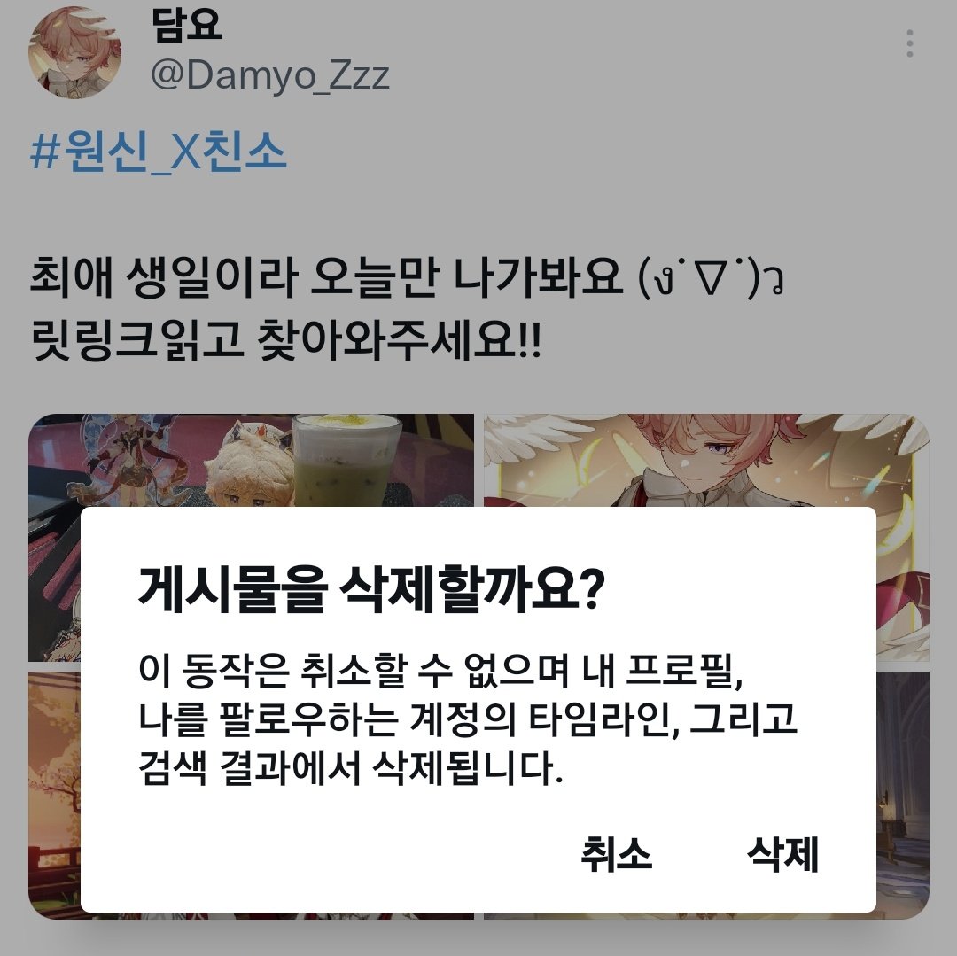 담요 tweet media