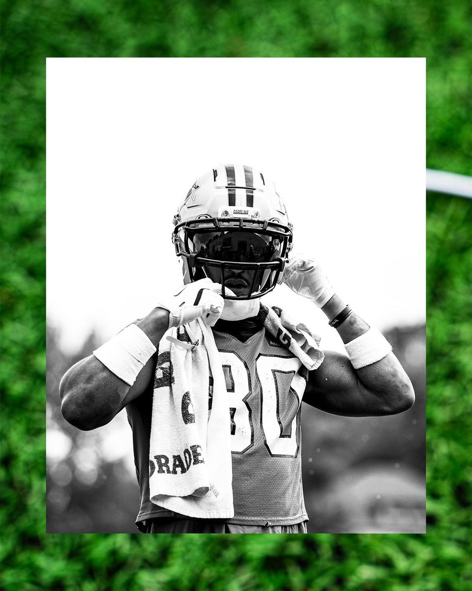 Carolina Panthers tweet media