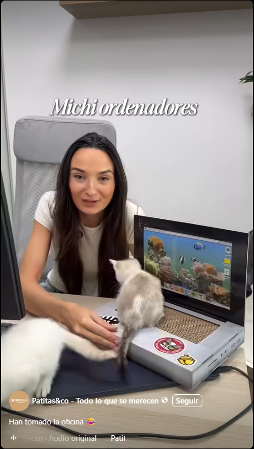 Maskek's tweet photo. @Lizmenita Acabo de ver un video donde en una oficina adoptan gatos y les tienen objetos para entretenerlos, uno de ellos es esto que les compraron!! Se te fue el negocio millonario de las manos!! https://t.co/gSmQ9HeGj7