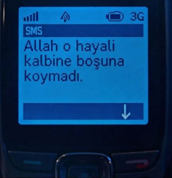 iso tweet media