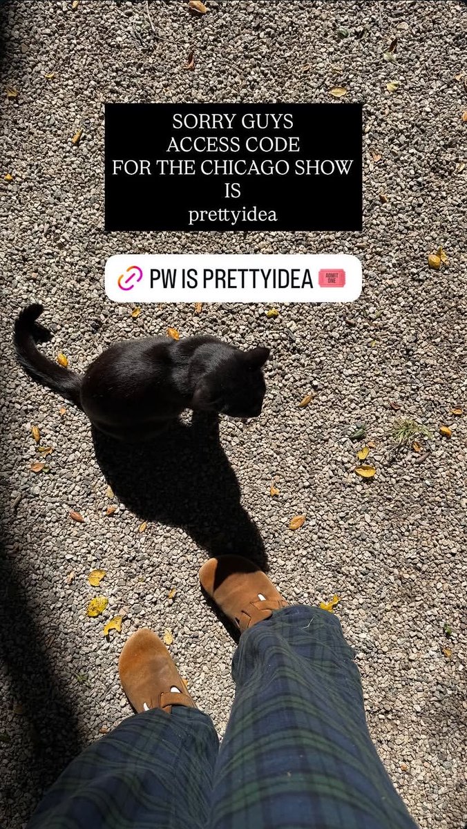 mooshmark's tweet photo. Moosh featured on Ambers instagram story. https://t.co/HMQ9ZNMr52