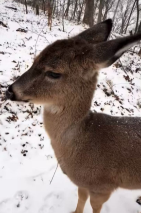 John fawn tweet media