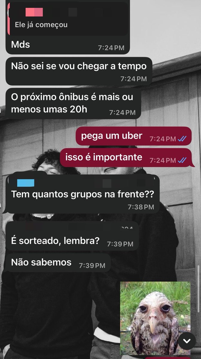 bee. ⊬ tweet media