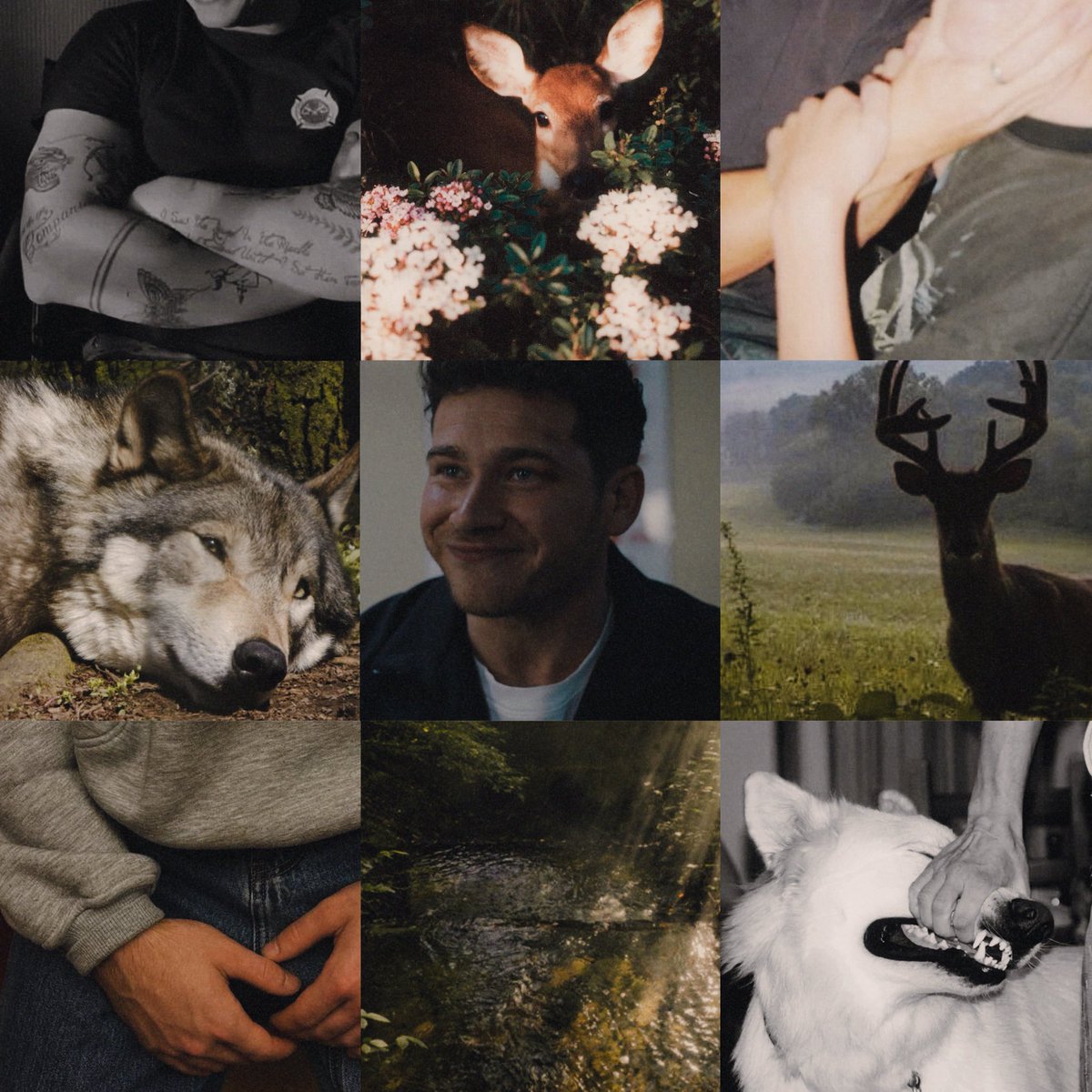 deasbuddieverse's tweet photo. welcome to dea’s buddieverse .ᐟ .𖥔 ݁ ˖ 

── .✦ dea | they/them/he 
    lesbian | 23 | white | eng/nor

⤿ fem buddie enthusiast 
⤿ lover of the colour blue and buck buckley 
⤿ pinterest warrior 

 ¡ occasionally nsfw | mdnf ! 

🚒 | #911twt #buddietwt | 🫂 https://t.co/X5vy9dZmLX
