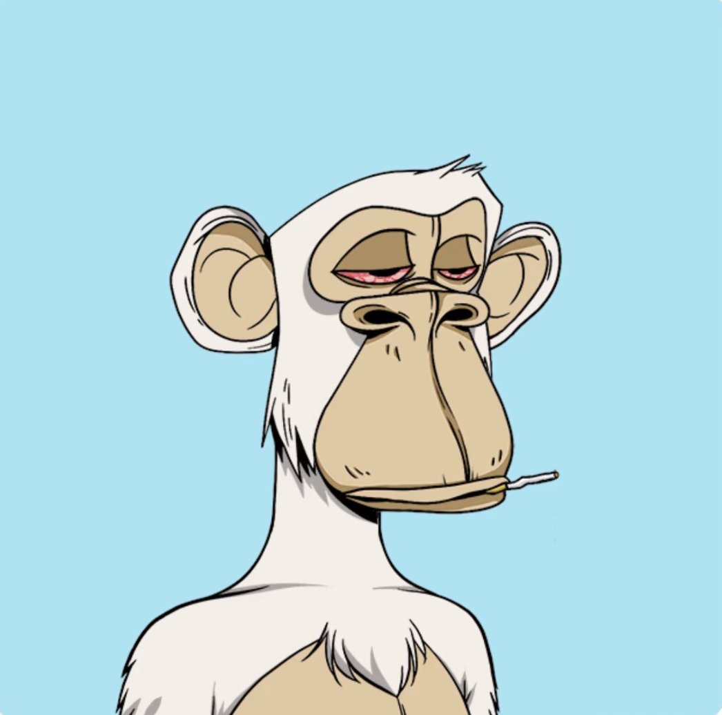 GoingParabolic's tweet photo. Ape follow ape? https://t.co/yX0nw6e9TU
