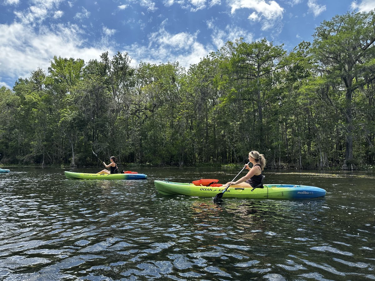 FSUCCI's tweet photo. Learning beyond the classroom 🌿🚣‍♀️

Students in Dr. Andy Opel’s graduate seminar, Media, Culture and Environment, explored the Wacissa River through kayaking, deepening their understanding of the Floridan aquifer. https://t.co/hARrn1ThOQ