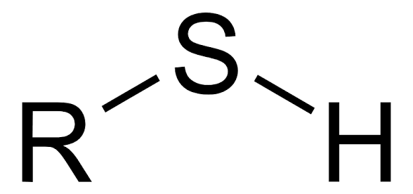 ATCCTGTAT's tweet photo. slingshot: -SH (thiol)

like hyperlaser but less cool. i guess he can also form hydrogen bonds... cool.. https://t.co/UKfetKYzal