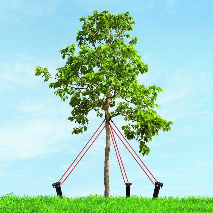 Mastermark1966's tweet photo. Tree Master Tree Staking Kit protects and anchors young trees to ensure straight natural growth and prevent root damage from wind and weather. Designed for trees less than 2-1/2 in. Dia. Includes stakes, protective sleeves, and rope for easy installation.
https://t.co/ZjZnZiW9gf https://t.co/hISyjJi9pd