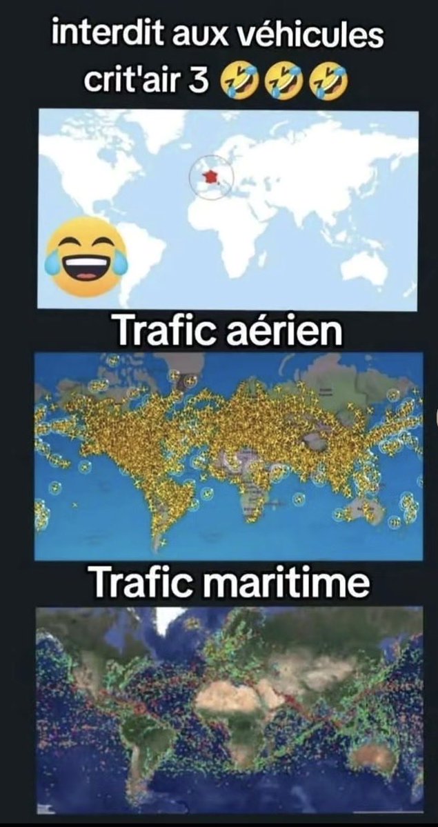 ⚜️ Ren Flock ⚜️ tweet media