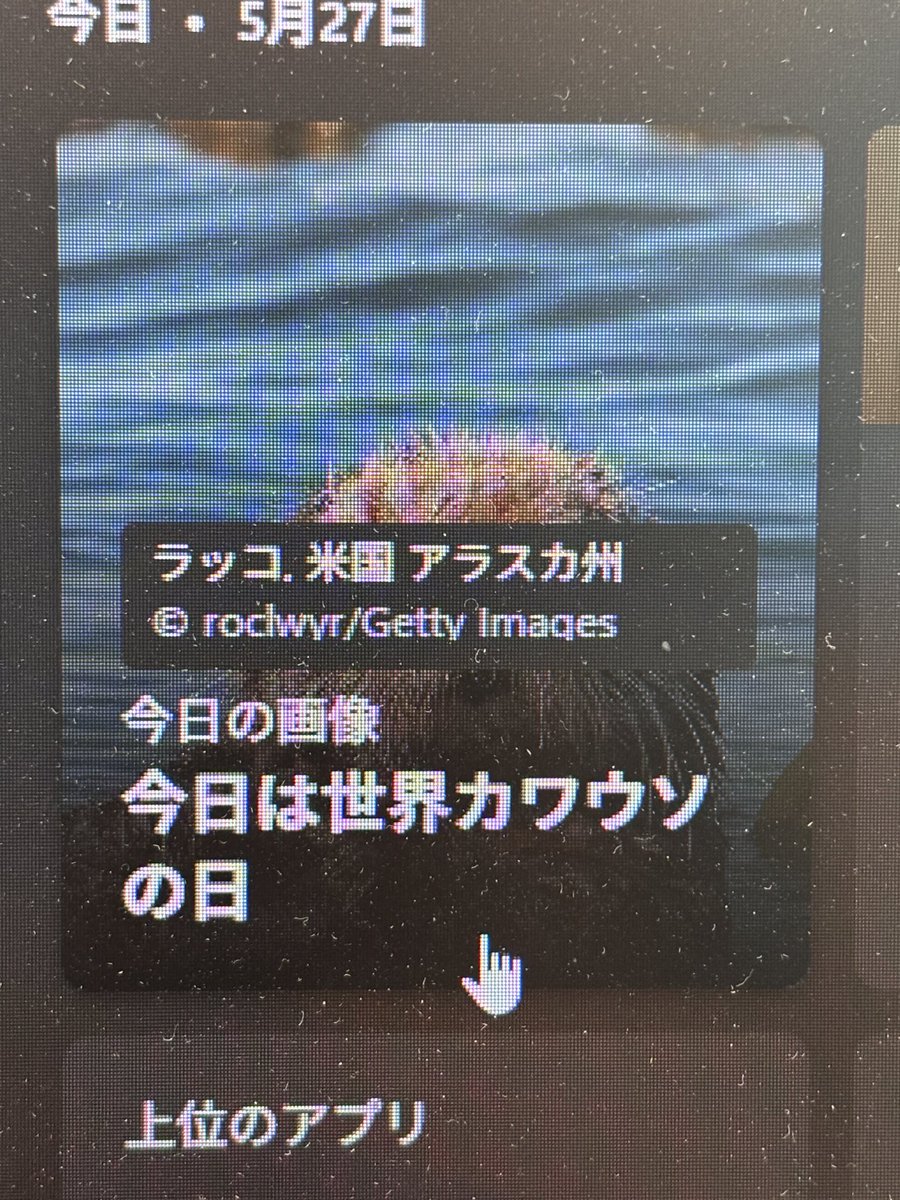Nekopekko's tweet photo. カワウソ(ラッコ) https://t.co/Kwsi3MiRYP