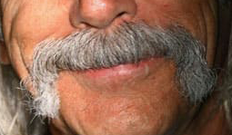 MustacheElliott's tweet photo. A good mustache catches wisdom before it hits the ground. https://t.co/0L8vd1lGId