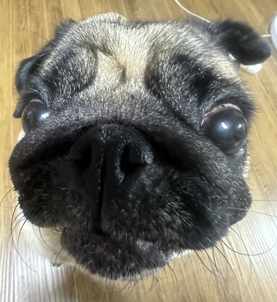 むぅさん【フォロバ386%】 tweet media