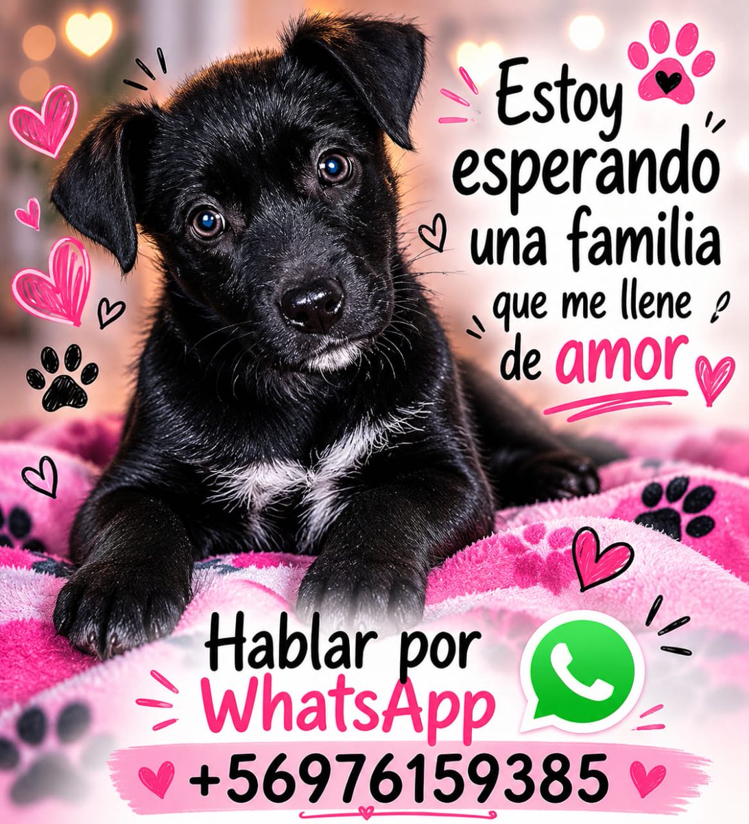 Ximena A.G tweet media