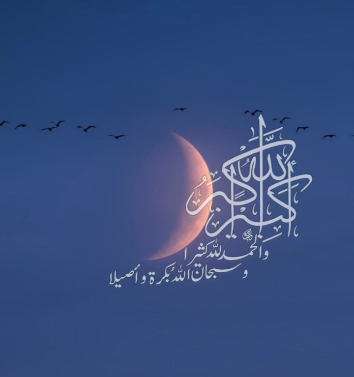 لينـــدا (أُم إبراهيم) tweet media