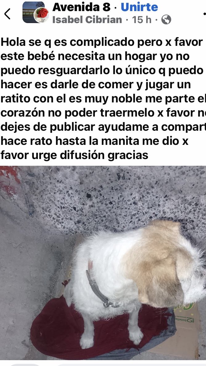 AlejandraVegaF5's tweet photo. ATENCION VENUSTIANO CARRANZA ‼️ Edta solito, no se mueve de ahí, urge resguardo https://t.co/45kMbNe5Pd