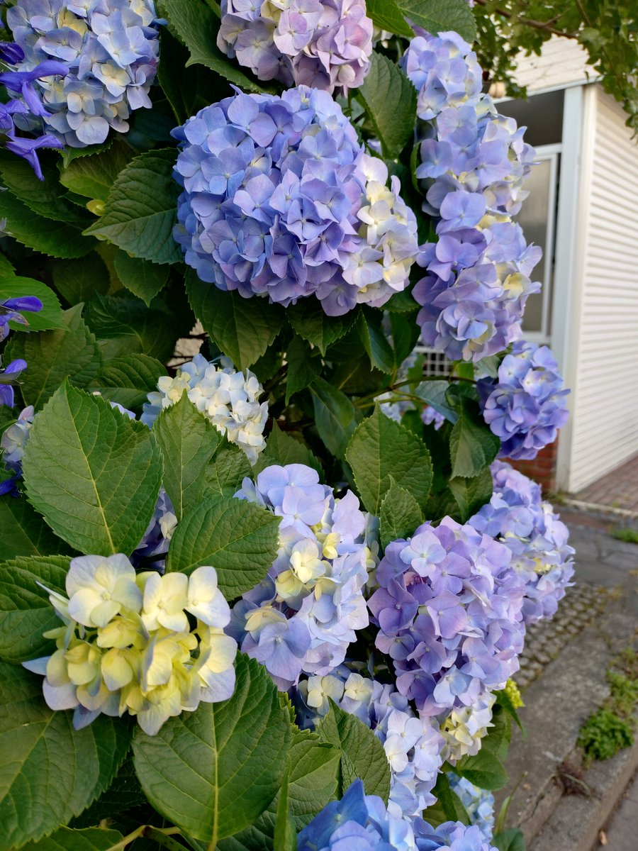 野村正育 tweet media