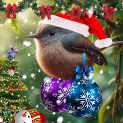 help me tweet media