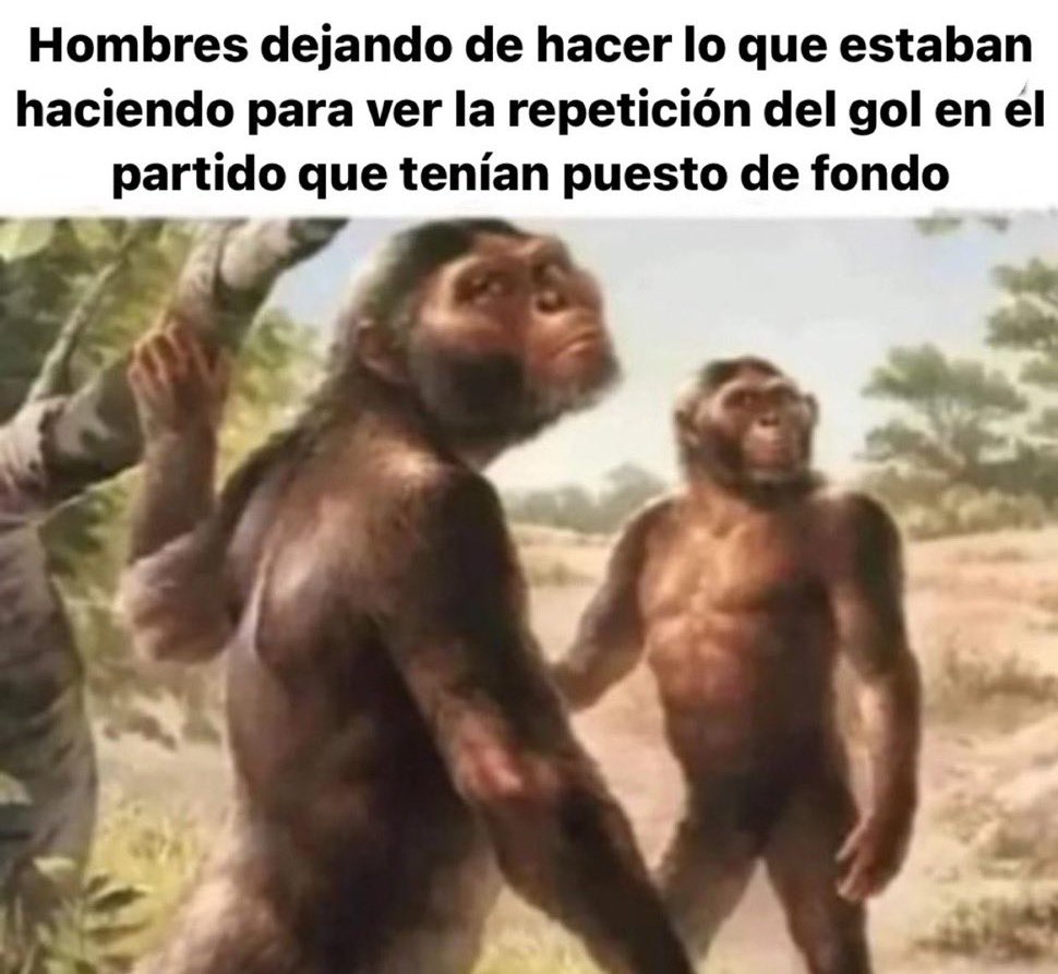 Alejo tweet media