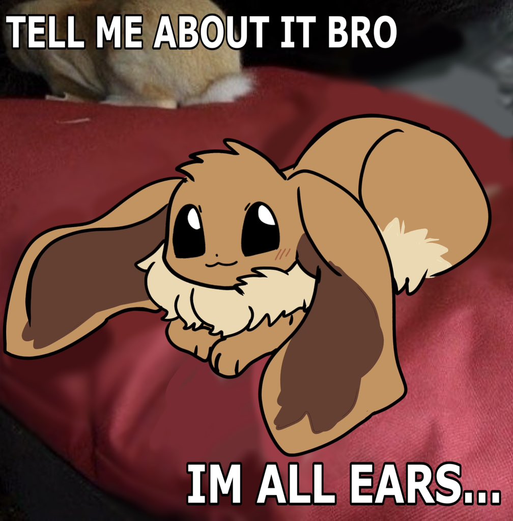 michi ☆ #1 eevee fan tweet media