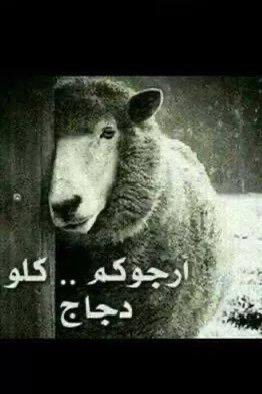 إكـه 🇸🇦 tweet media