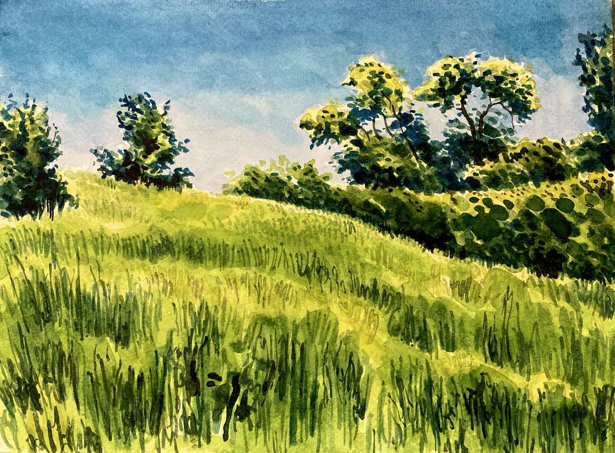 uhperry's tweet photo. Bathwick fields #watercolour https://t.co/ylggHSpCfD