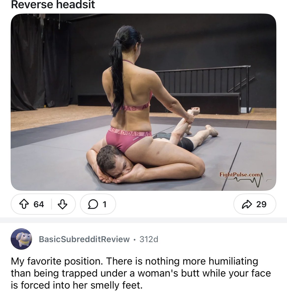 OrangeCatEnthusiast tweet media