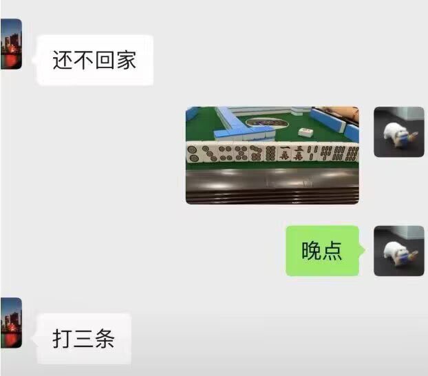 雲鳩 tweet media