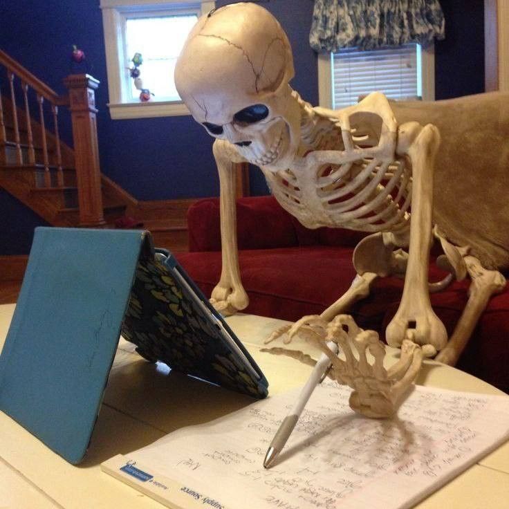 Valtorewrites's tweet photo. I don't have a life, because I'm learning to save yours https://t.co/ba9VHbyOms