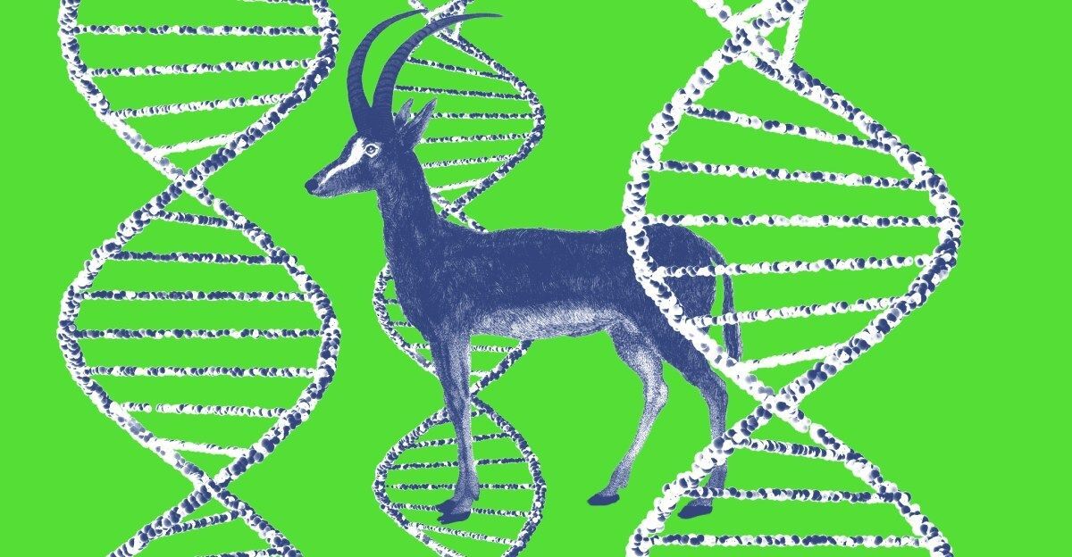 BioTech_Awards's tweet photo. Is this ‘de-extinction’ project actually onto something? - The Verge

https://t.co/uYqO0geFWi

#biotech #geneediting #genomeengineering #lifesciences #drugdevelopment #biomedical https://t.co/ElAqI9EfLf