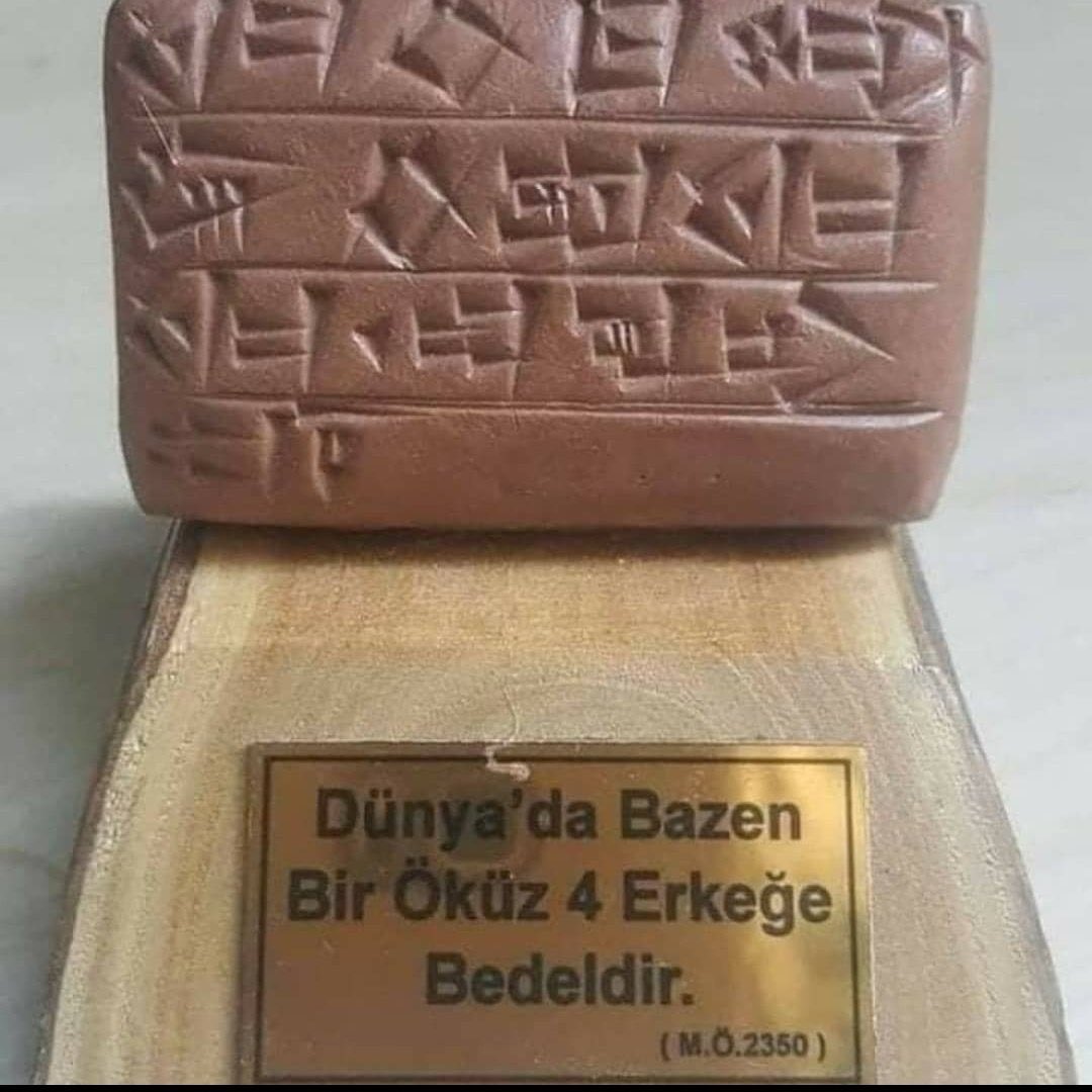 Sebo Beg tweet media
