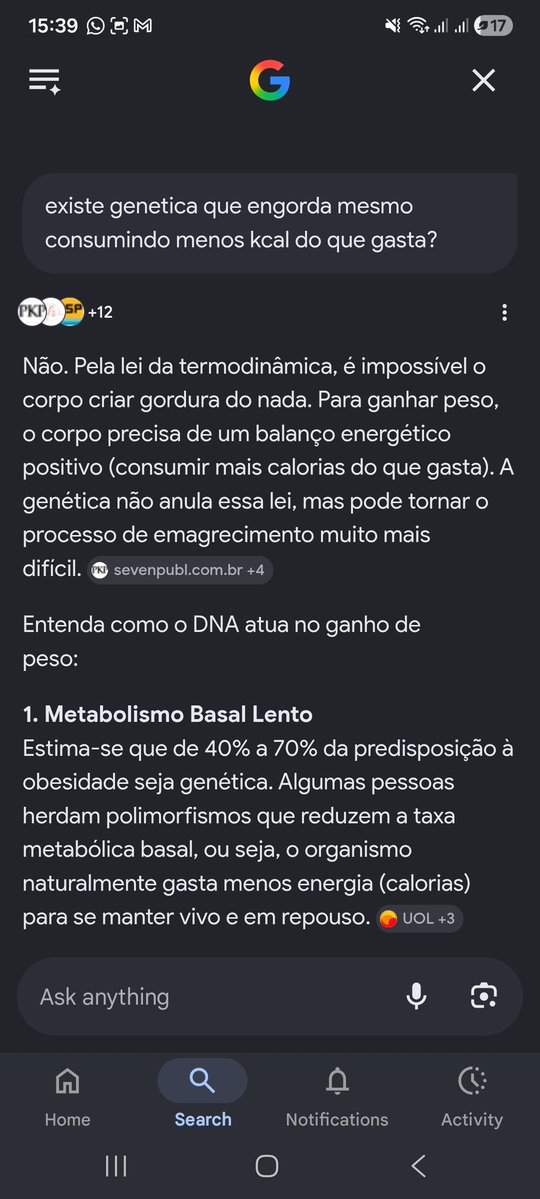 Lucas Camargo tweet media