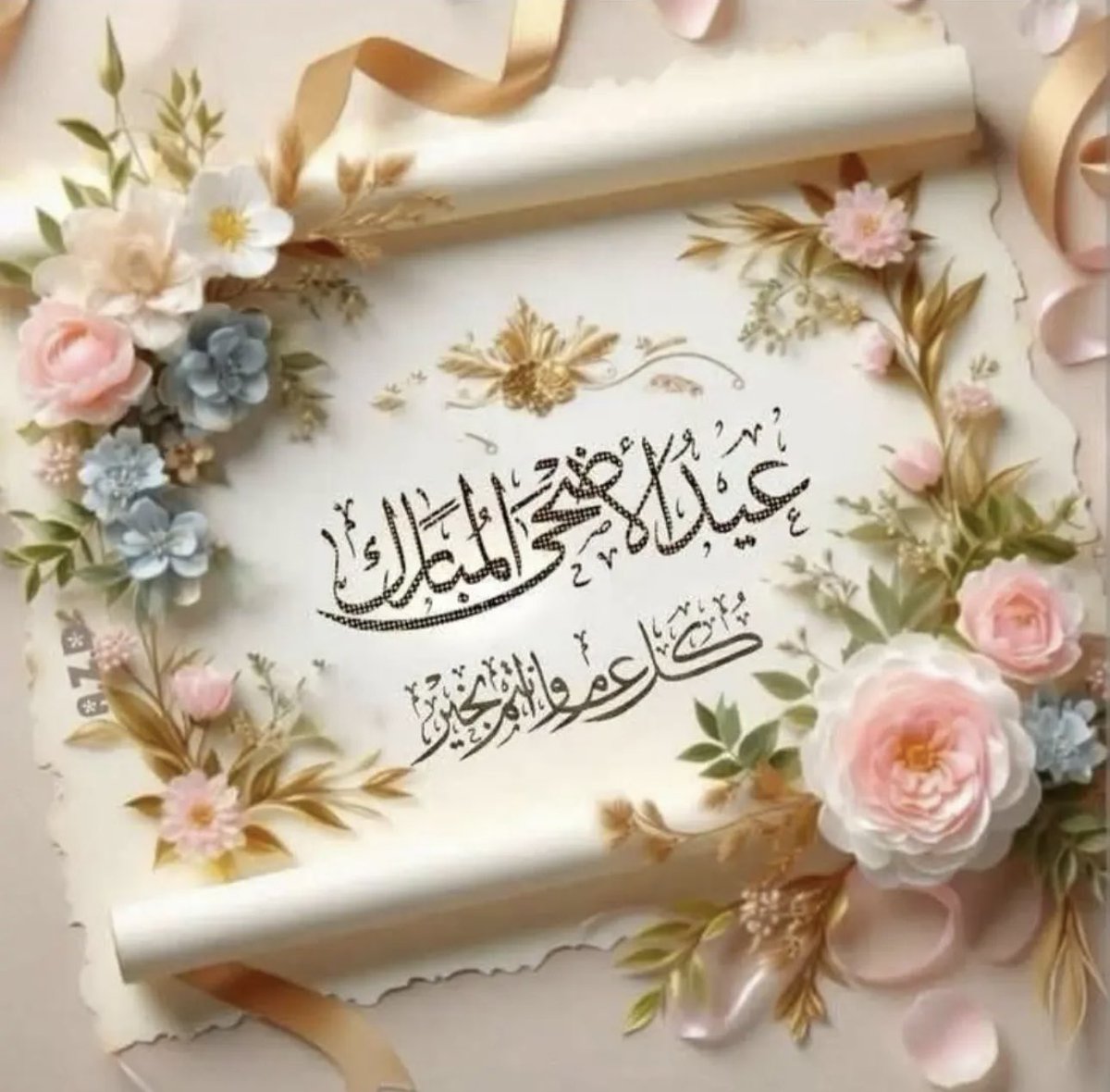 Mohamed Elbanna tweet media