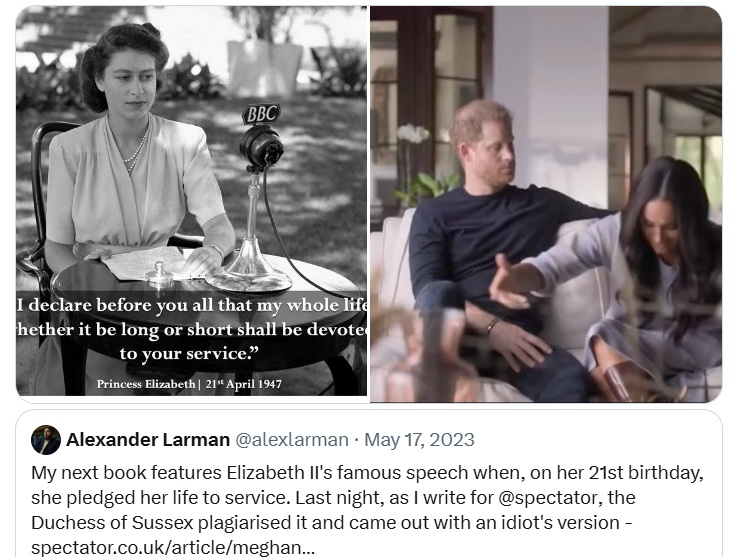 Bee Wilde tweet media