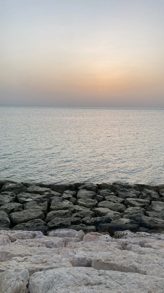 Abdulrahman tweet media