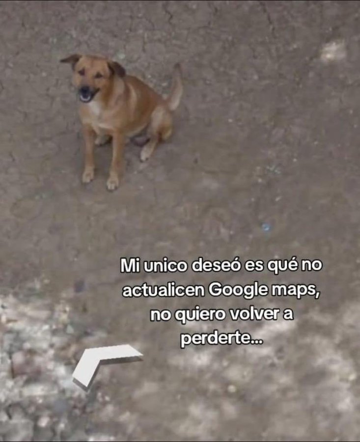 Animalitos en aprietos. tweet media