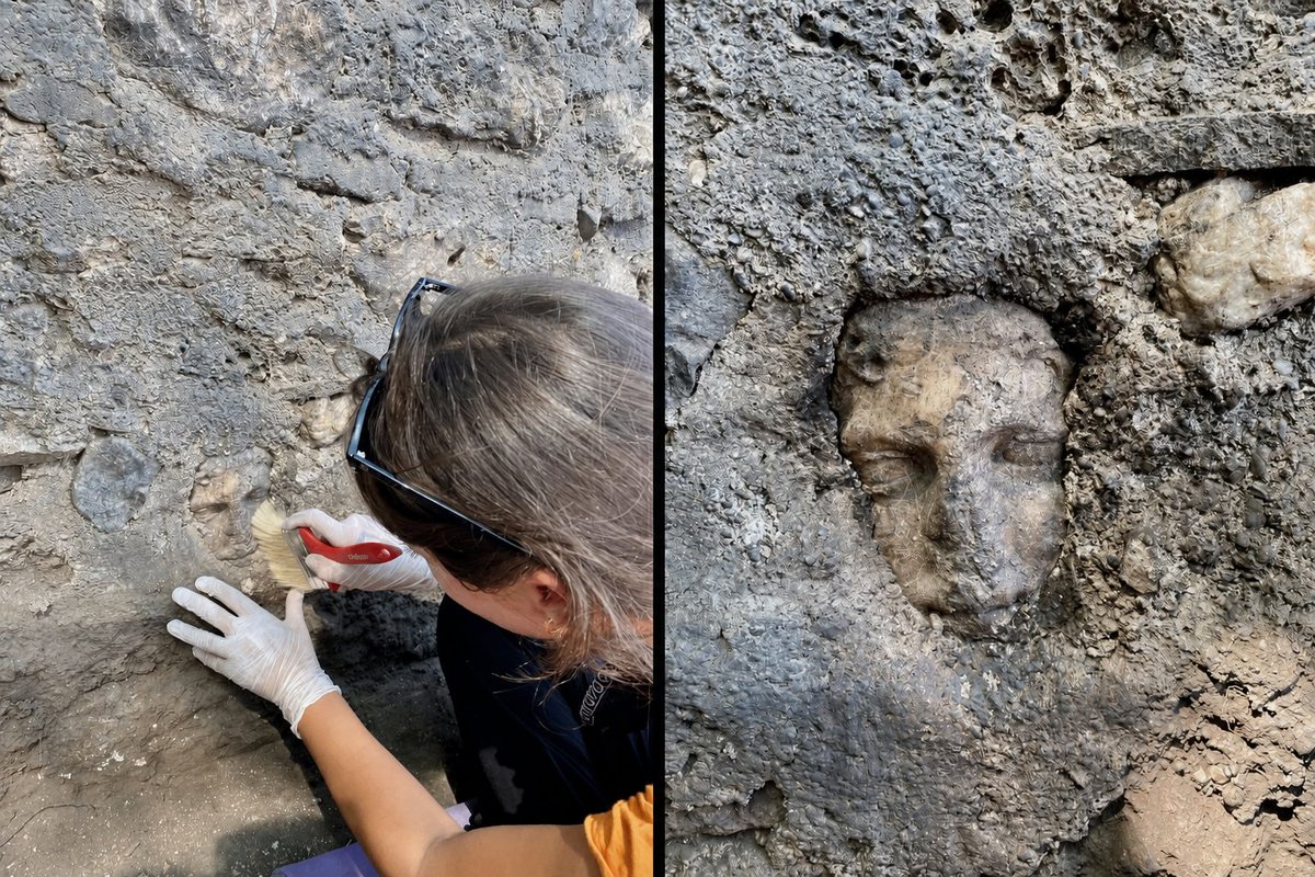 Anatolian Archaeology tweet media