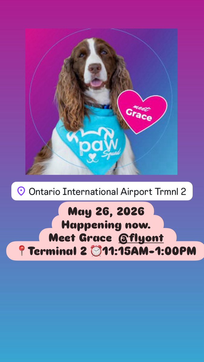 Airport Therapy Dogs tweet media