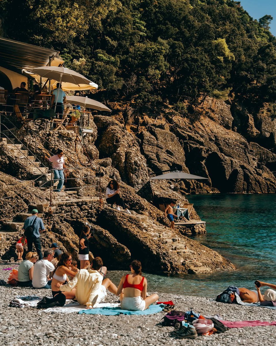 Tim tweet media