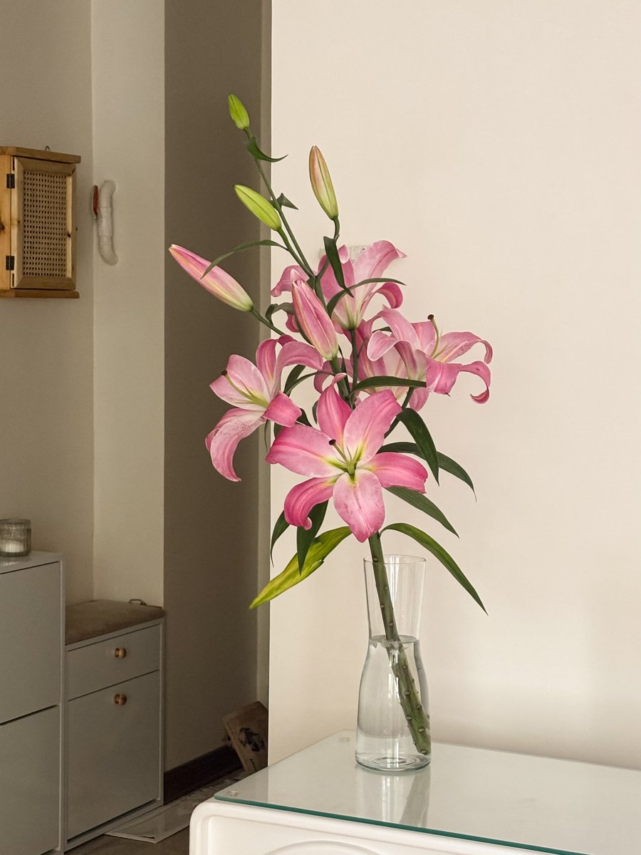 Bloomify tweet media